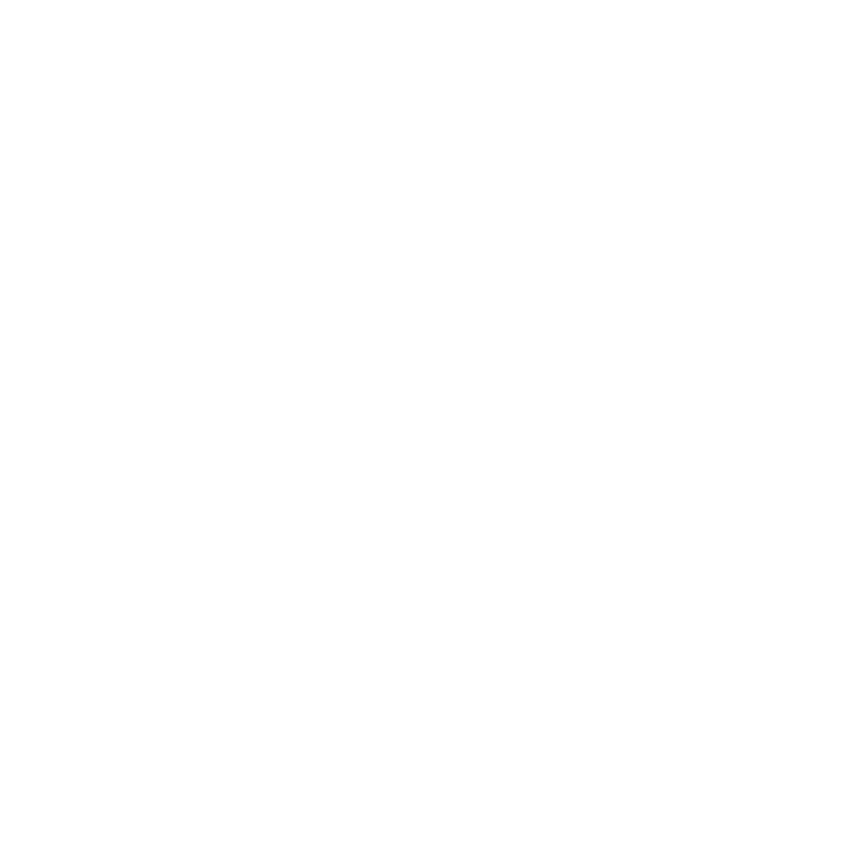 spider Agency